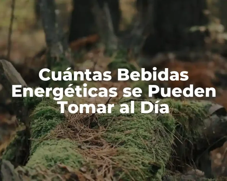 Cuántas Bebidas Energéticas se Pueden Tomar al Día