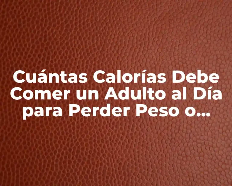 Cuántas Calorías Debe Comer un Adulto al Día para Perder Peso o Mantenerse Saludable