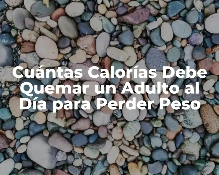 Cuántas Calorías Debe Quemar un Adulto al Día para Perder Peso