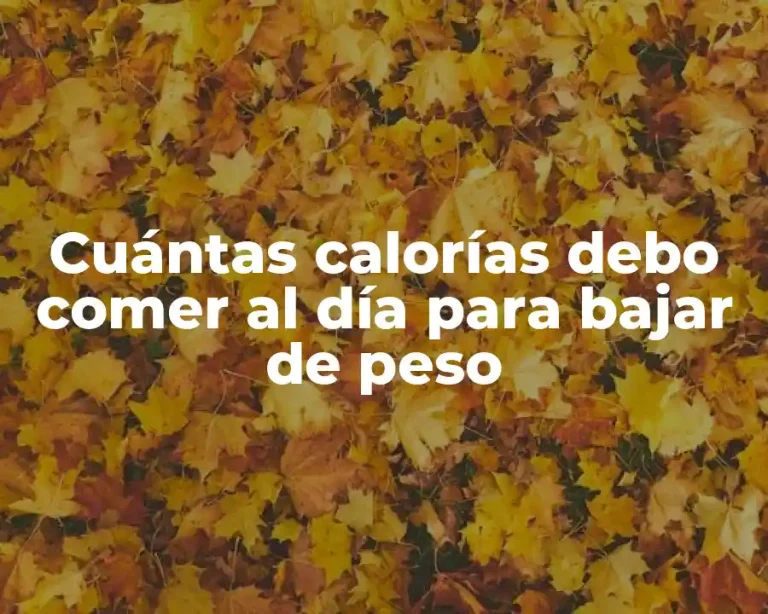Cuántas calorías debo comer al día para bajar de peso
