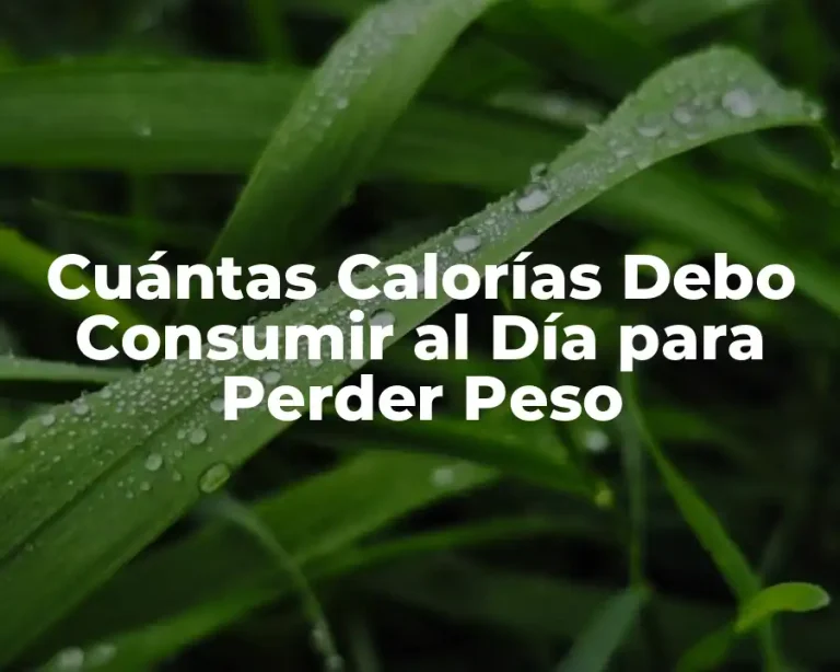 Cuántas Calorías Debo Consumir al Día para Perder Peso