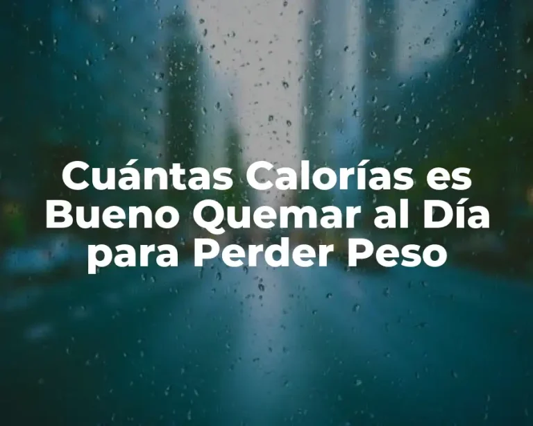 Cuántas Calorías es Bueno Quemar al Día para Perder Peso