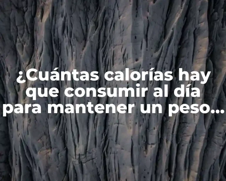 ¿Cuántas calorías hay que consumir al día para mantener un peso saludable?