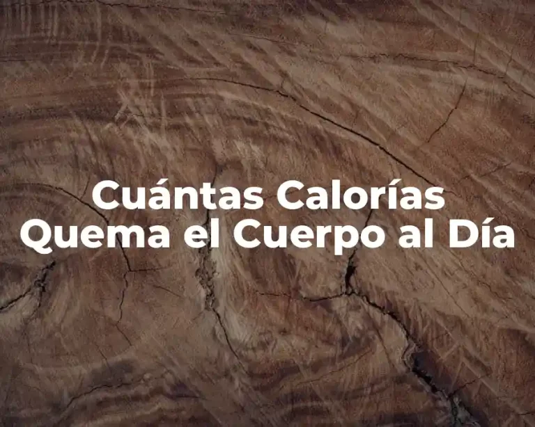 Cuántas Calorías Quema el Cuerpo al Día