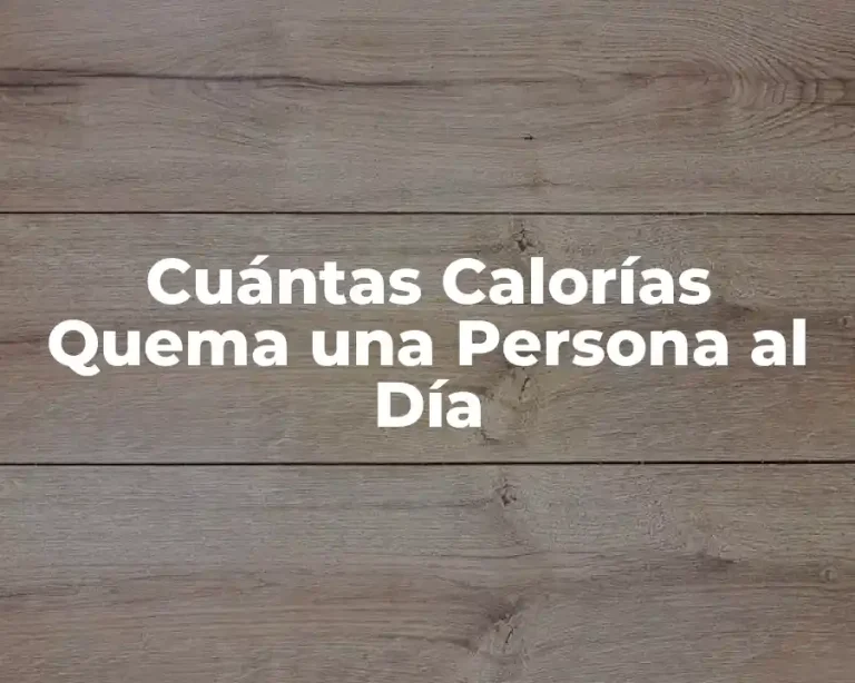 Cuántas Calorías Quema una Persona al Día
