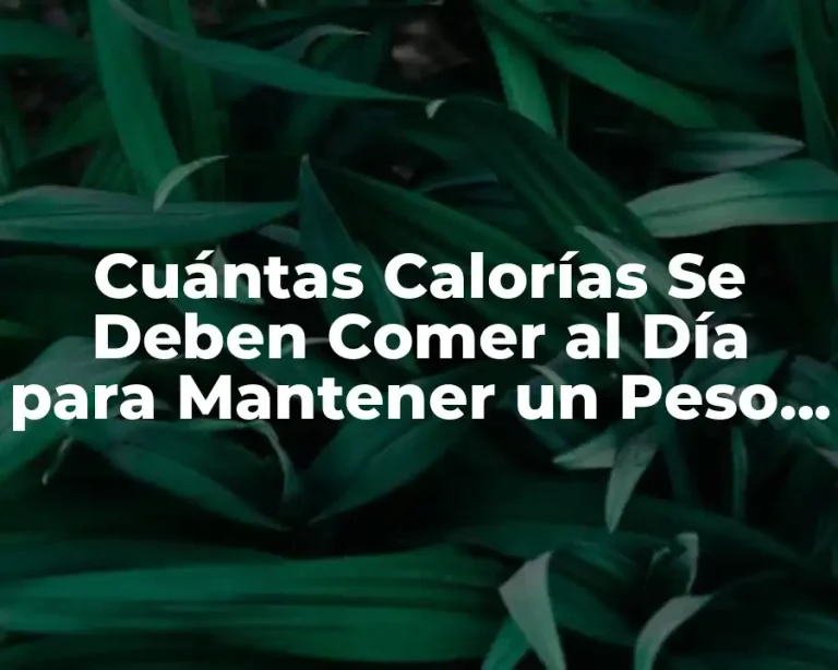 Cuántas Calorías Se Deben Comer al Día para Mantener un Peso Saludable