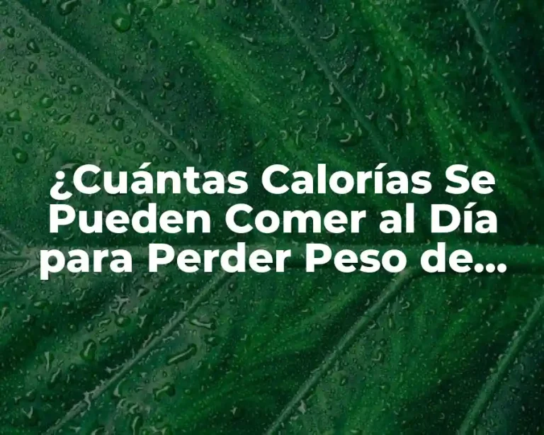 ¿Cuántas Calorías Se Pueden Comer al Día para Perder Peso de Forma Saludable?