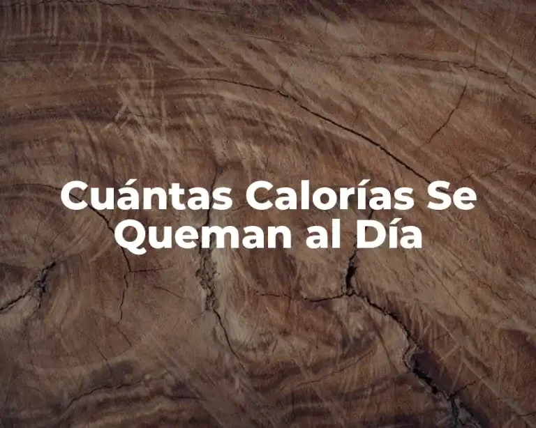 Cuántas Calorías Se Queman al Día