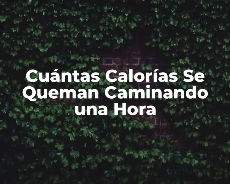 Cuántas Calorías Se Queman Caminando una Hora