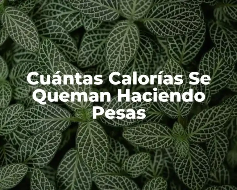 Cuántas Calorías Se Queman Haciendo Pesas