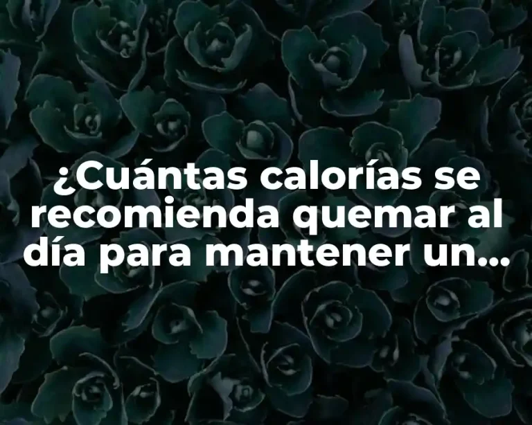 ¿Cuántas calorías se recomienda quemar al día para mantener un peso saludable?