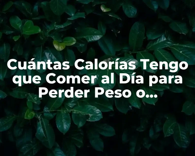 Cuántas Calorías Tengo que Comer al Día para Perder Peso o Mantenerme Saludable