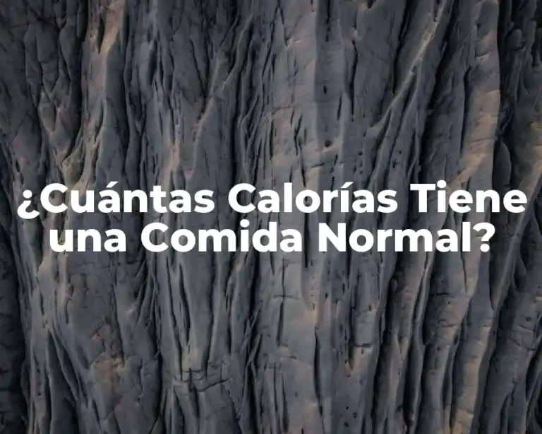 ¿Cuántas Calorías Tiene una Comida Normal?