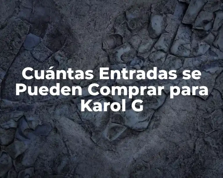 Cuántas Entradas se Pueden Comprar para Karol G