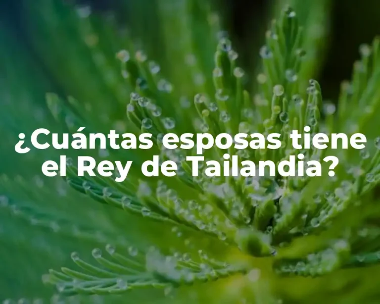 ¿Cuántas esposas tiene el Rey de Tailandia?