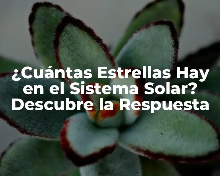 ¿Cuántas Estrellas Hay en el Sistema Solar? Descubre la Respuesta