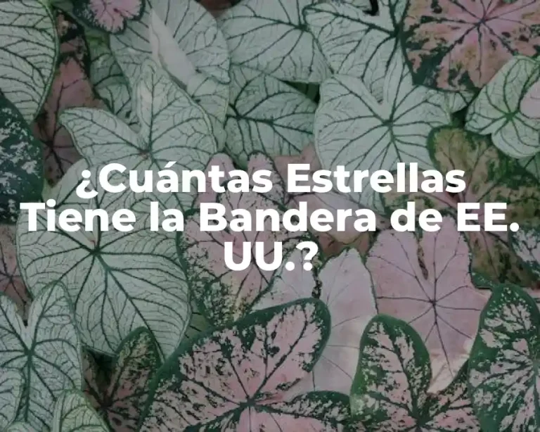 ¿Cuántas Estrellas Tiene la Bandera de EE. UU.?