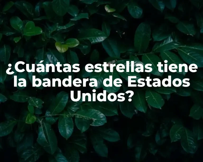 ¿Cuántas estrellas tiene la bandera de Estados Unidos?