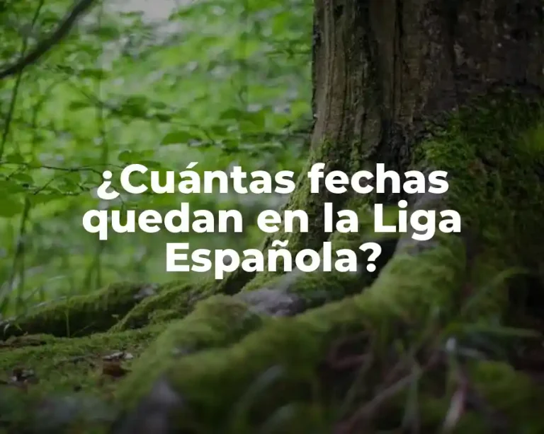 ¿Cuántas fechas quedan en la Liga Española?