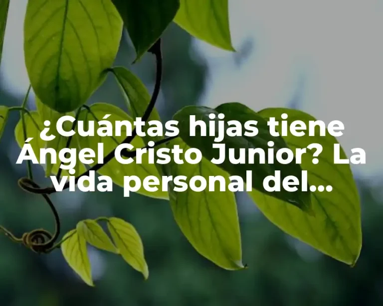 ¿Cuántas hijas tiene Ángel Cristo Junior? La vida personal del famoso cantante