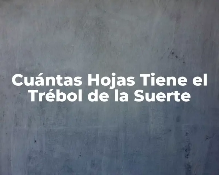 Cuántas Hojas Tiene el Trébol de la Suerte