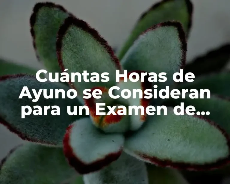 Cuántas Horas de Ayuno se Consideran para un Examen de Sangre