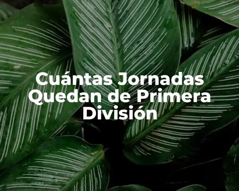 Cuántas Jornadas Quedan de Primera División