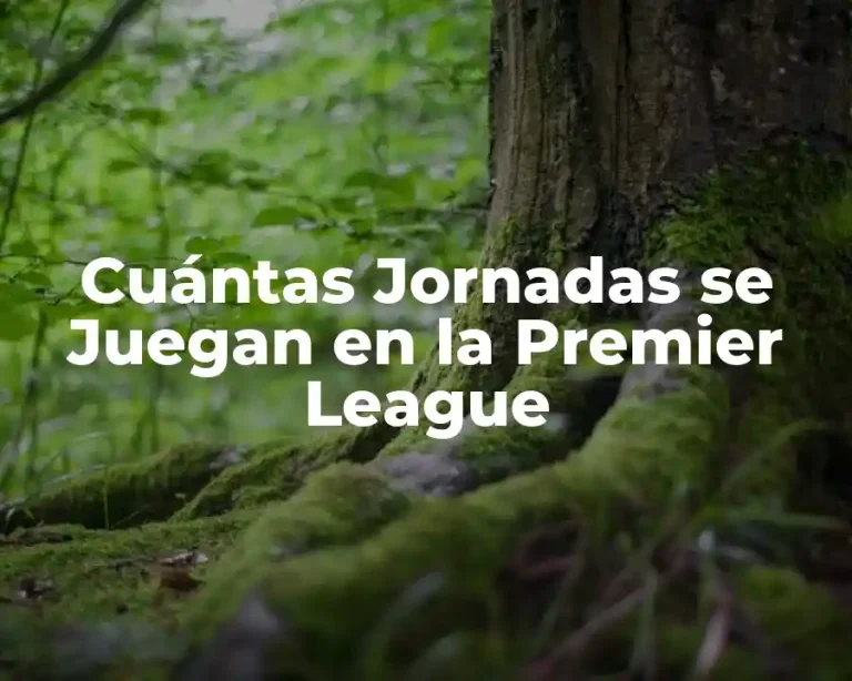 Cuántas Jornadas se Juegan en la Premier League