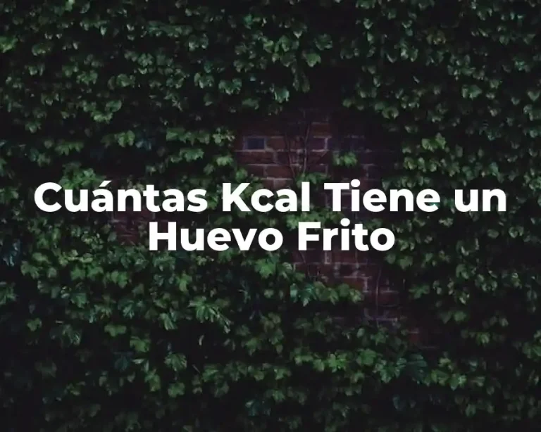 Cuántas Kcal Tiene un Huevo Frito