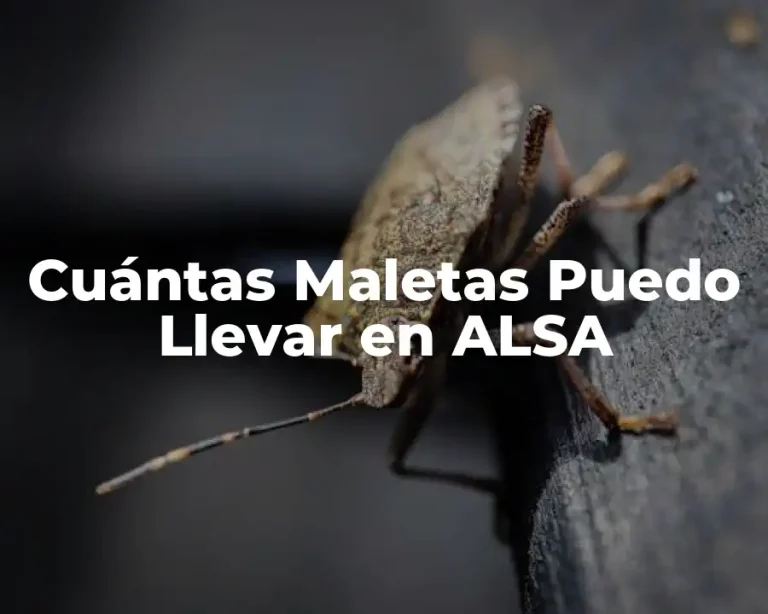 Cuántas Maletas Puedo Llevar en ALSA