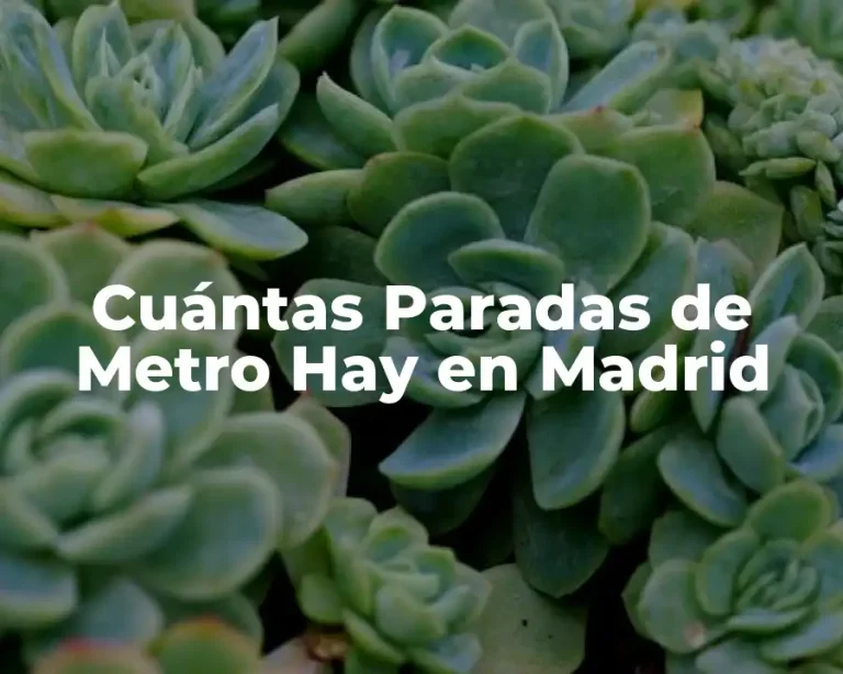 Cuántas Paradas de Metro Hay en Madrid