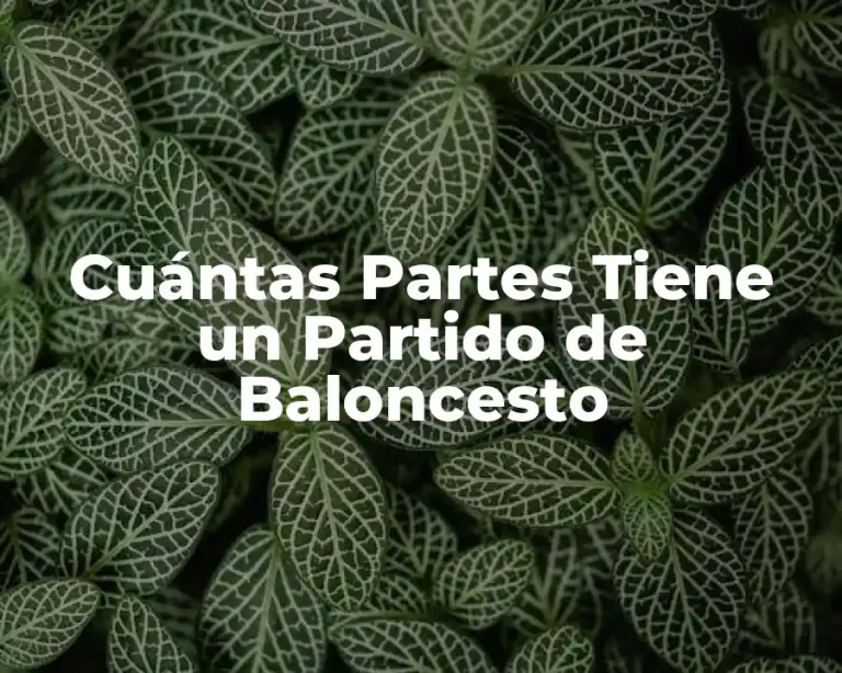 Cuántas Partes Tiene un Partido de Baloncesto