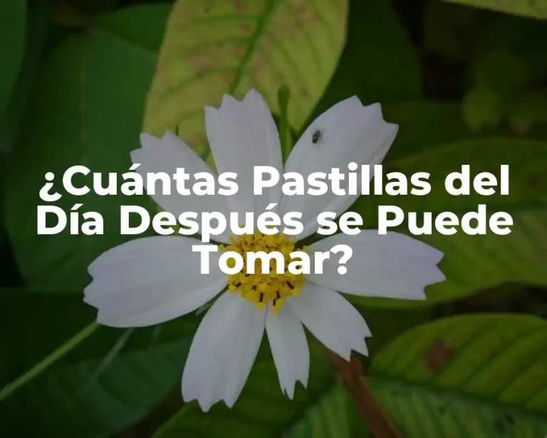 ¿Cuántas Pastillas del Día Después se Puede Tomar?
