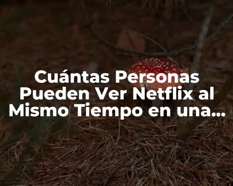 Cuántas Personas Pueden Ver Netflix al Mismo Tiempo en una Cuenta