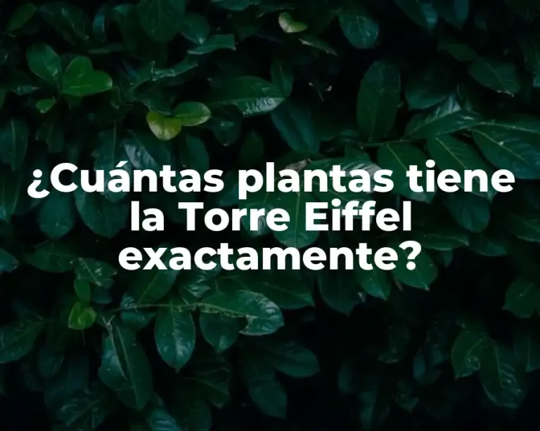¿Cuántas plantas tiene la Torre Eiffel exactamente?