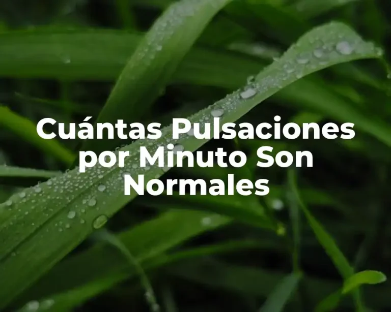 Cuántas Pulsaciones por Minuto Son Normales