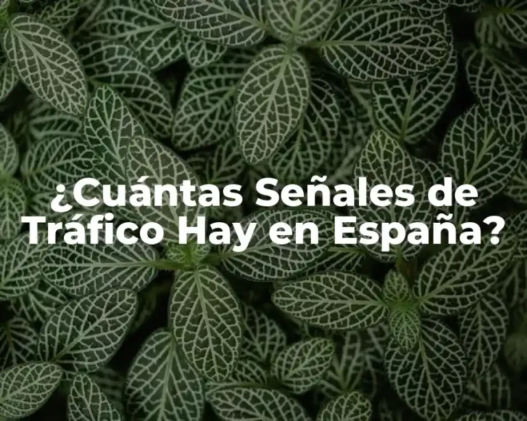 ¿Cuántas Señales de Tráfico Hay en España?