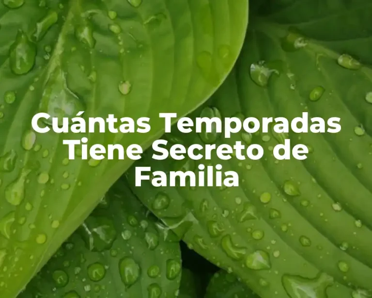 Cuántas Temporadas Tiene Secreto de Familia