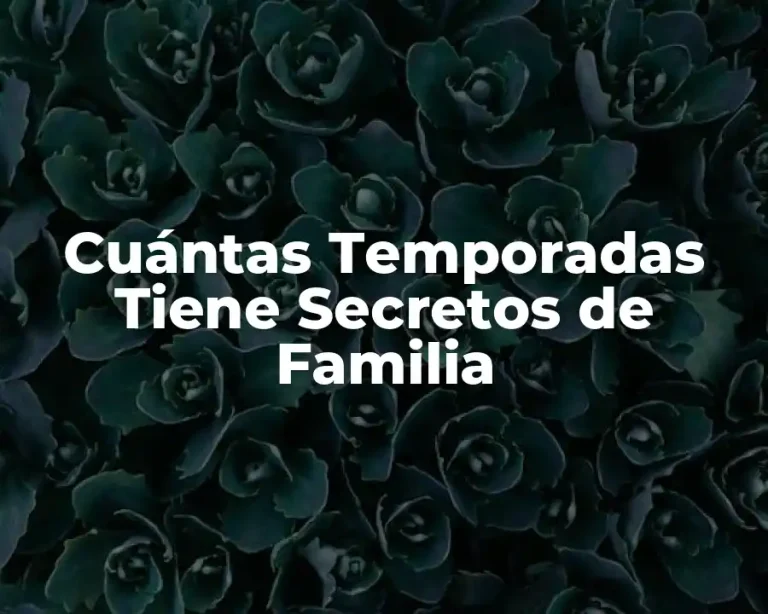 Cuántas Temporadas Tiene Secretos de Familia