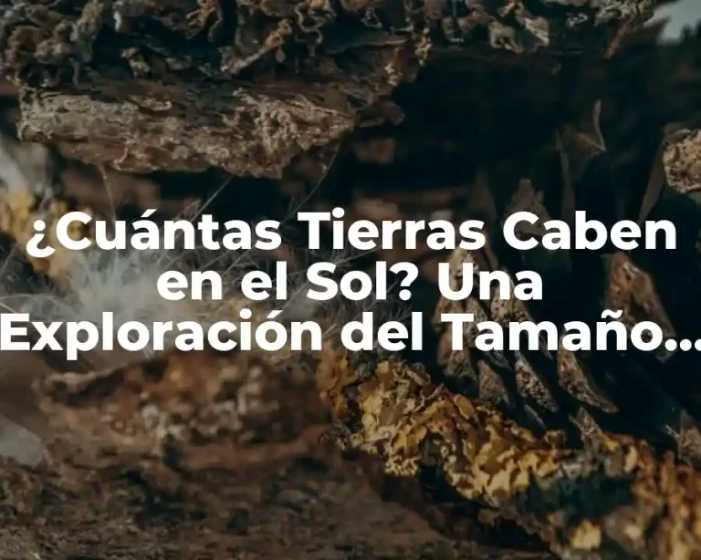 ¿Cuántas Tierras Caben en el Sol? Una Exploración del Tamaño del Sol y la Tierra