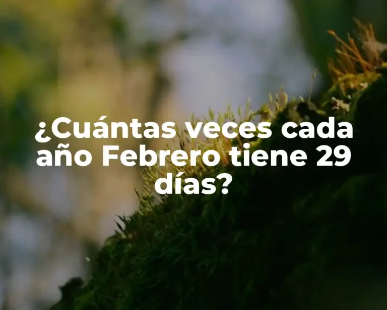 ¿Cuántas veces cada año Febrero tiene 29 días?