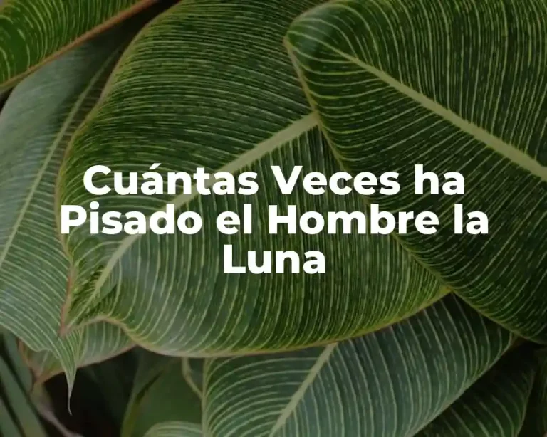 Cuántas Veces ha Pisado el Hombre la Luna