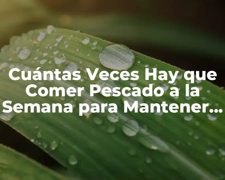 Cuántas Veces Hay que Comer Pescado a la Semana para Mantener una Salud Óptima