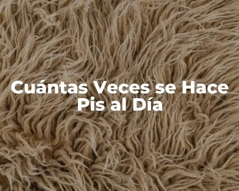 Cuántas Veces se Hace Pis al Día