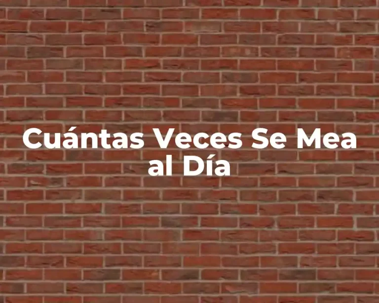 Cuántas Veces Se Mea al Día