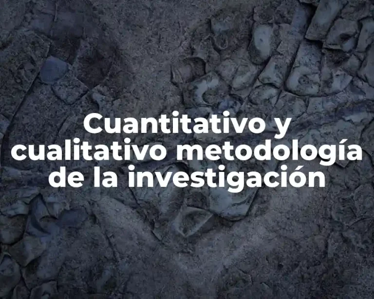 Cuantitativo y cualitativo metodología de la investigación