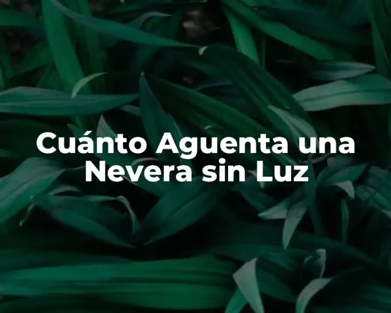 Cuánto Aguenta una Nevera sin Luz