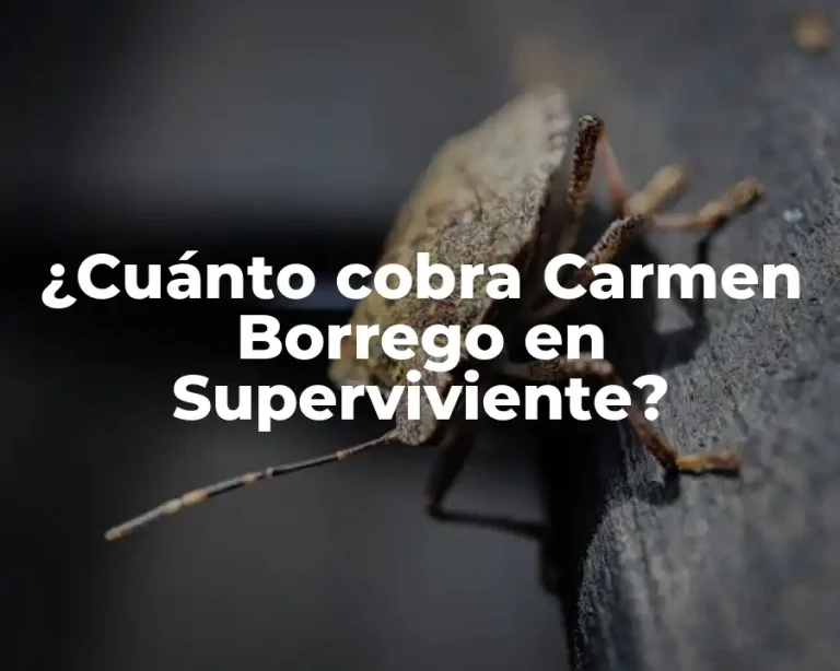 ¿Cuánto cobra Carmen Borrego en Superviviente?