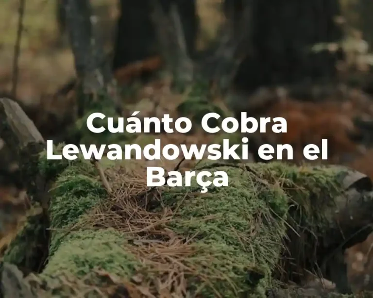 Cuánto Cobra Lewandowski en el Barça