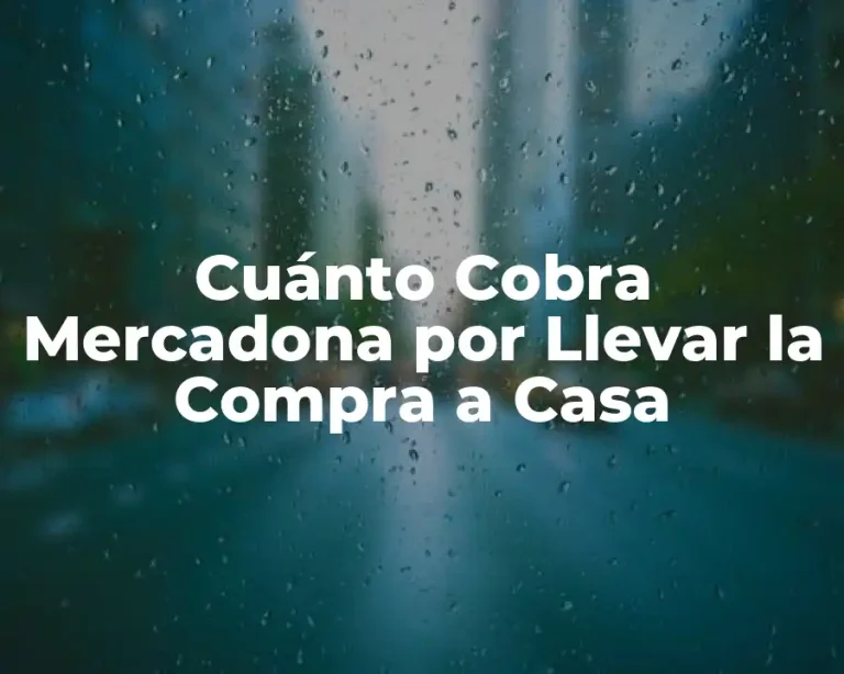 Cuánto Cobra Mercadona por Llevar la Compra a Casa